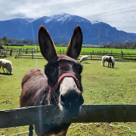 בית נופש Und Vinoteka David *