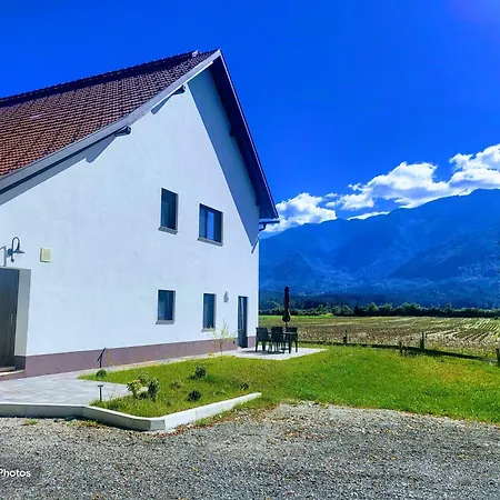 Und Vinoteka David Apartment *