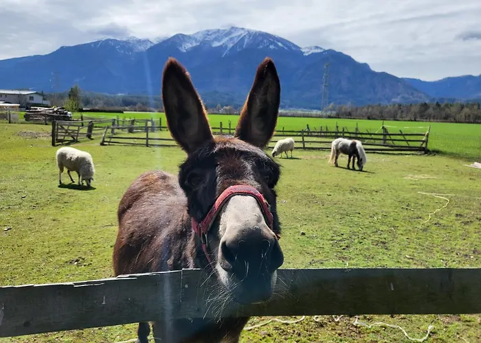 Holiday home Und Vinoteka David *